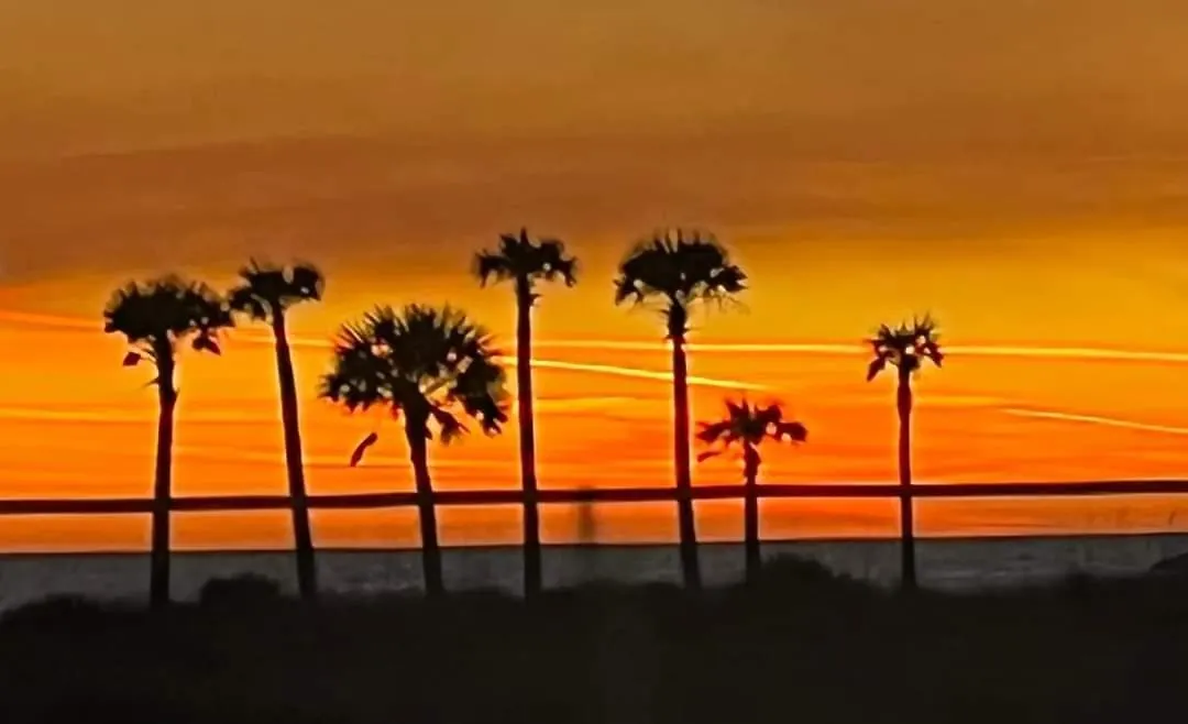 Shores Of Panama 630-1Bdbunks, Sleeps 6, Beach Front! Free Fun! Reserved Parking Space Condo Panama City Beach United States